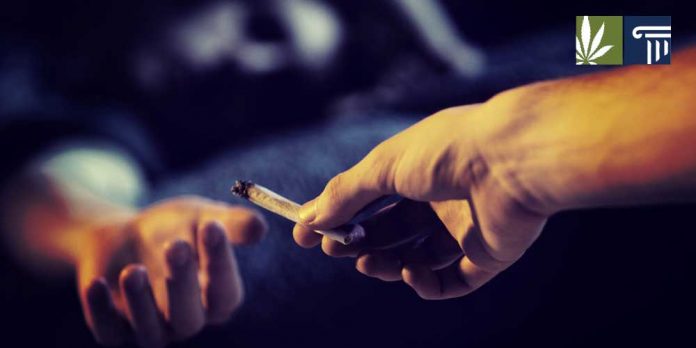 Teen-marijuana-use-has-not-gone-up-legal-states teen marijuana use not increased in legal states