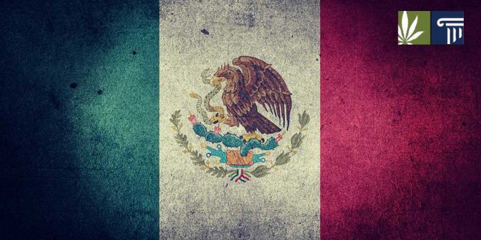 Mexico-Marijuana-Legalization Mexico marijuana legalization