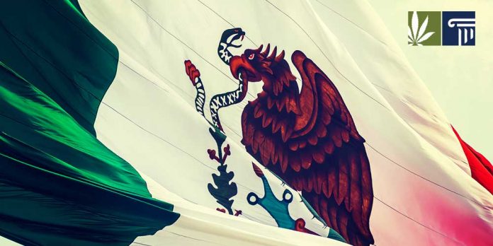 mexico-legalize-marijuana mexico-legalize-marijuana
